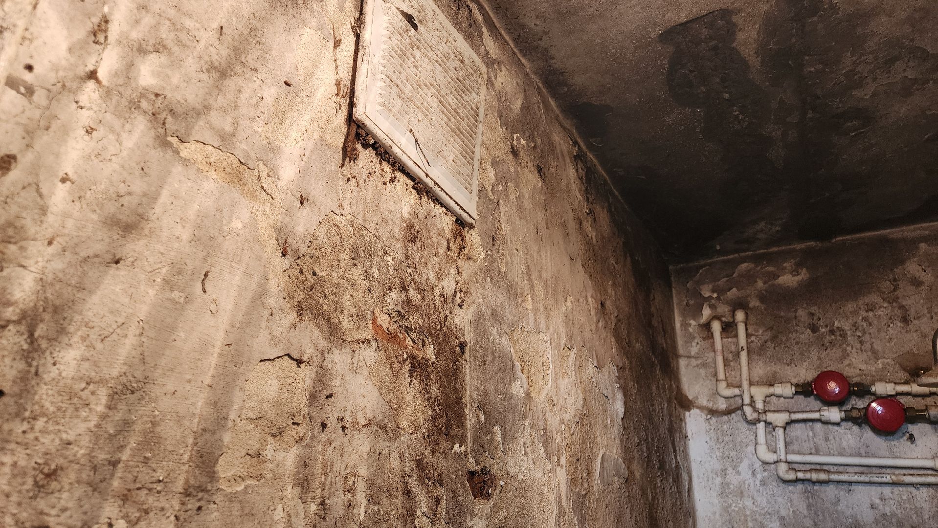 кашира, большое руново, выездная администрация, жкх, кровля, муниципальное жилье, санузел, ремонт,