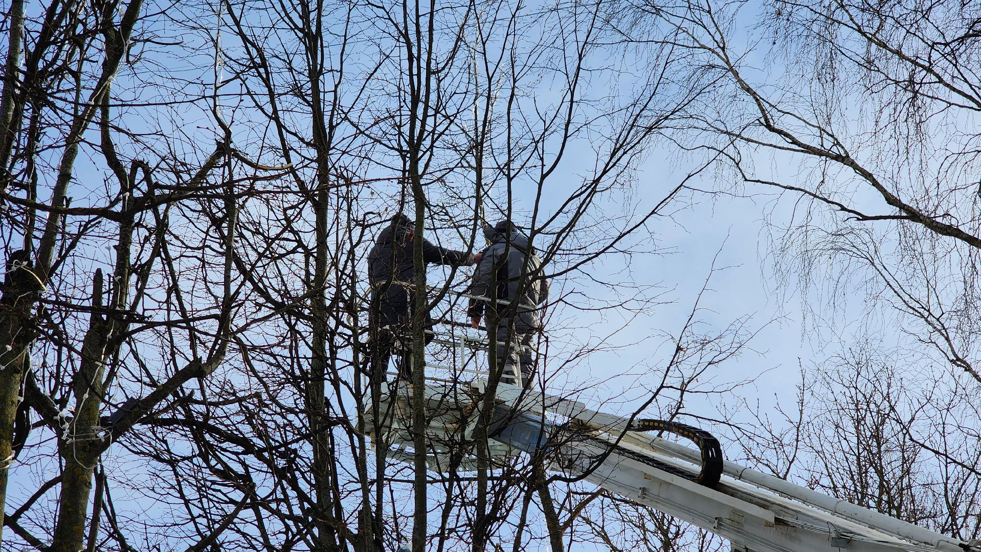 кашира, садовая, гирлянды, морозостойкие, уличное освещение, иллюминация, благоустройство,