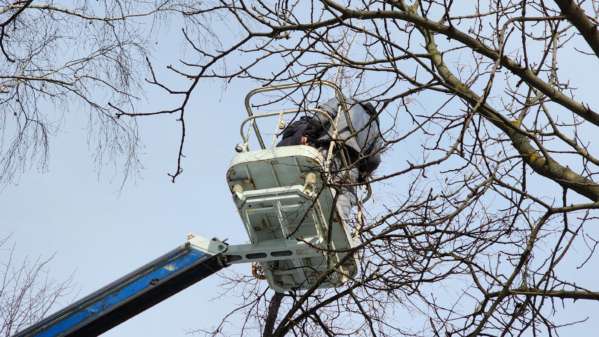 кашира, садовая, гирлянды, морозостойкие, уличное освещение, иллюминация, благоустройство,