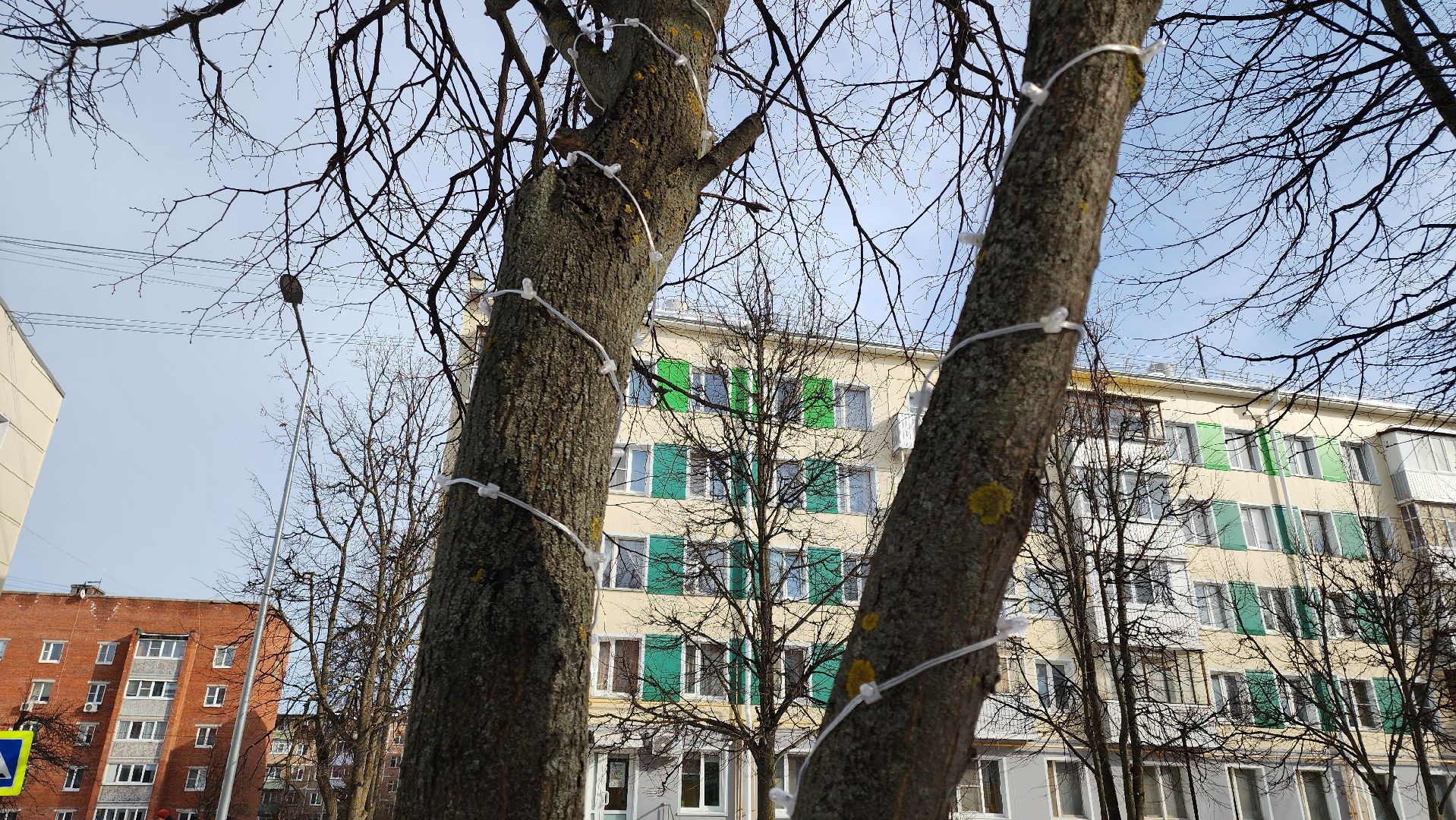 кашира, садовая, гирлянды, морозостойкие, уличное освещение, иллюминация, благоустройство,