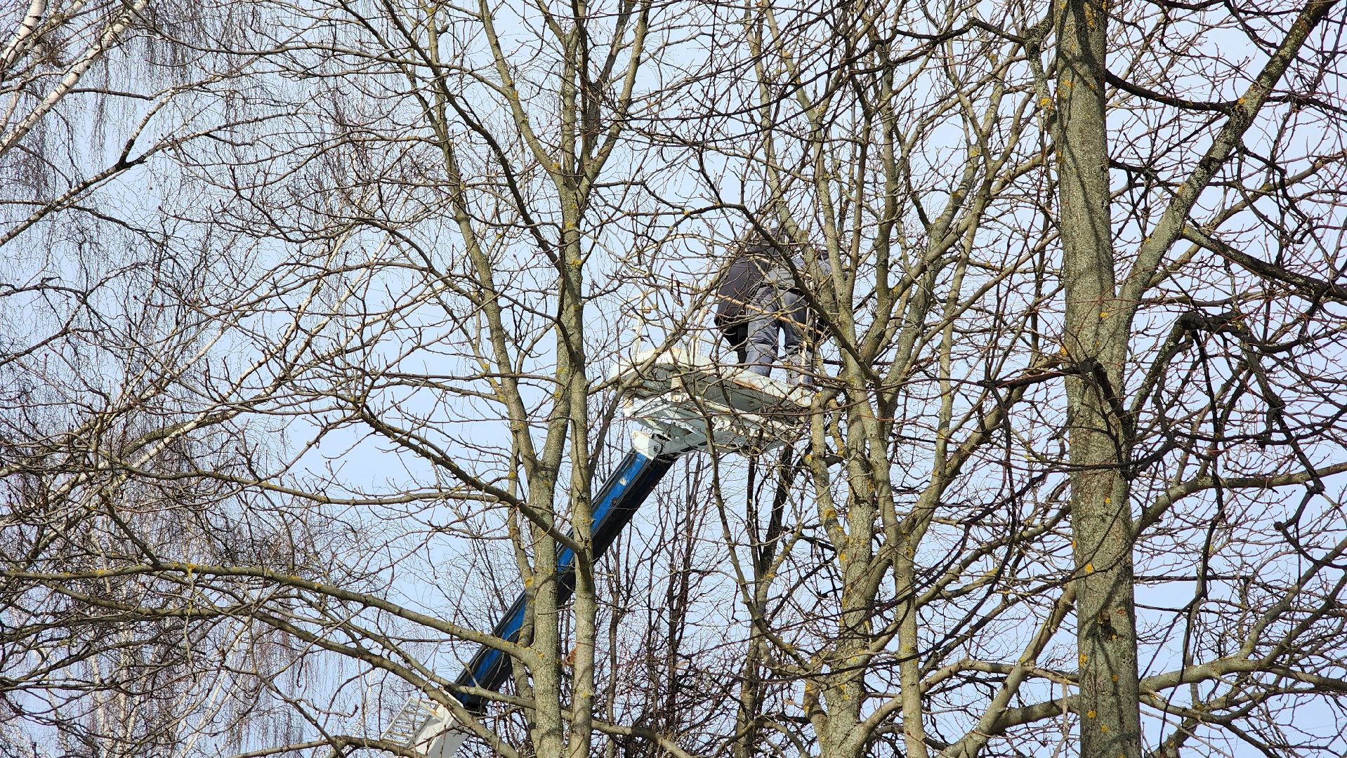 кашира, садовая, гирлянды, морозостойкие, уличное освещение, иллюминация, благоустройство,
