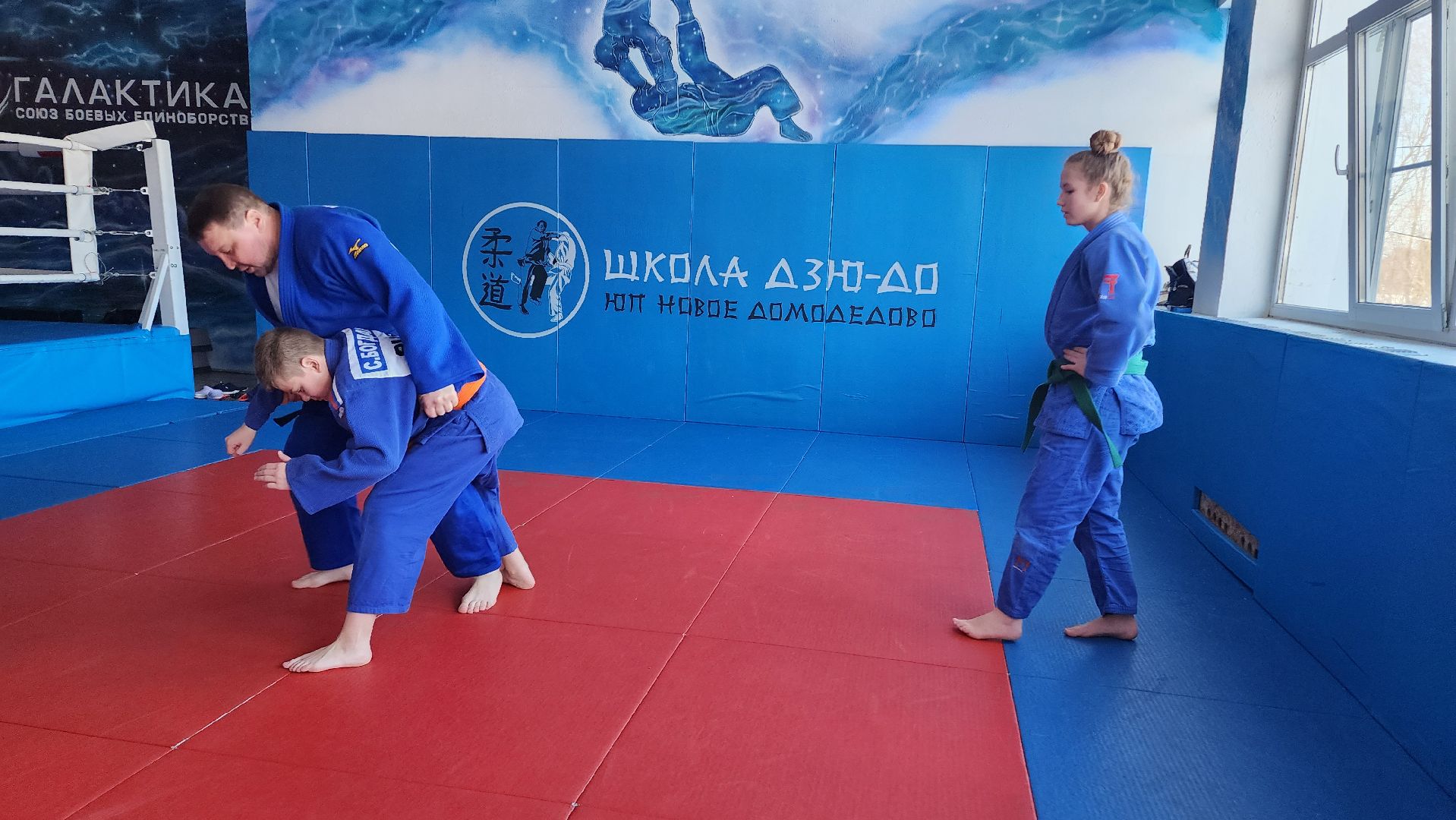 Домодедово, Подмосковье, Дзюдо, Соревнования, Спорт, Боевые искусства, чемпионат московской области, ЦФО, Тренер, Спортсмены,
