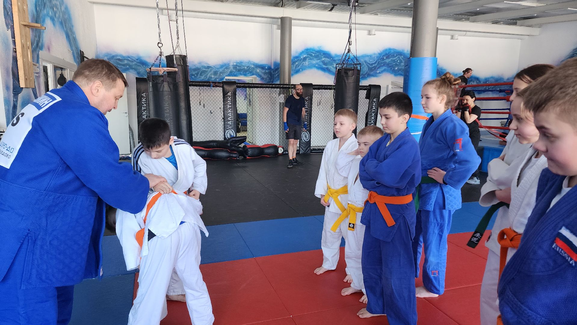 Домодедово, Подмосковье, Дзюдо, Соревнования, Спорт, Боевые искусства, чемпионат московской области, ЦФО, Тренер, Спортсмены,