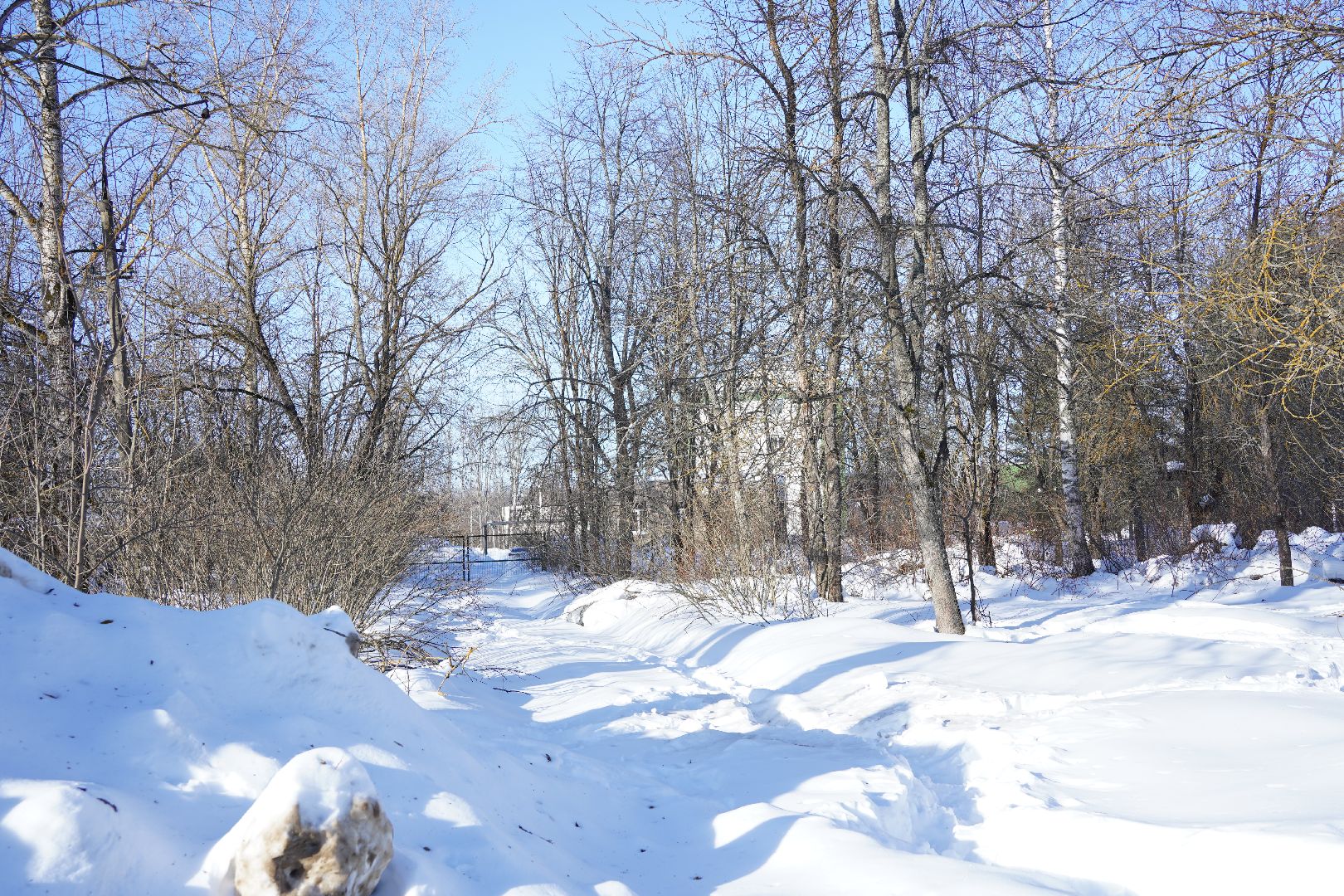 Рошаль, выездная администрация, встреча с жителями, Большая Шатура, диалог с властью, Шатурская больница,