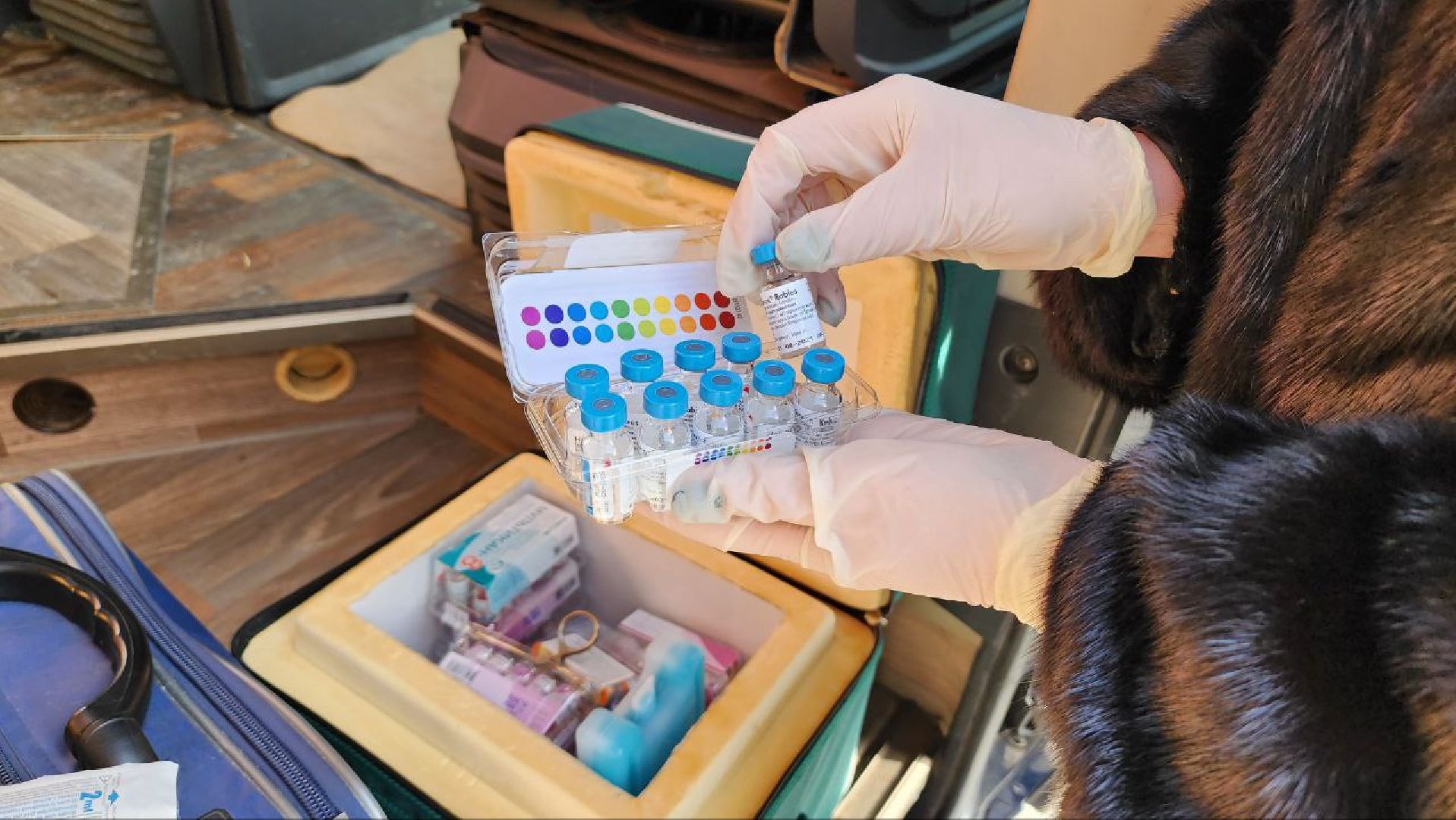 люберцы, вакцинация, карантин, Люберецкая станция по борьбе с болезнями животных,