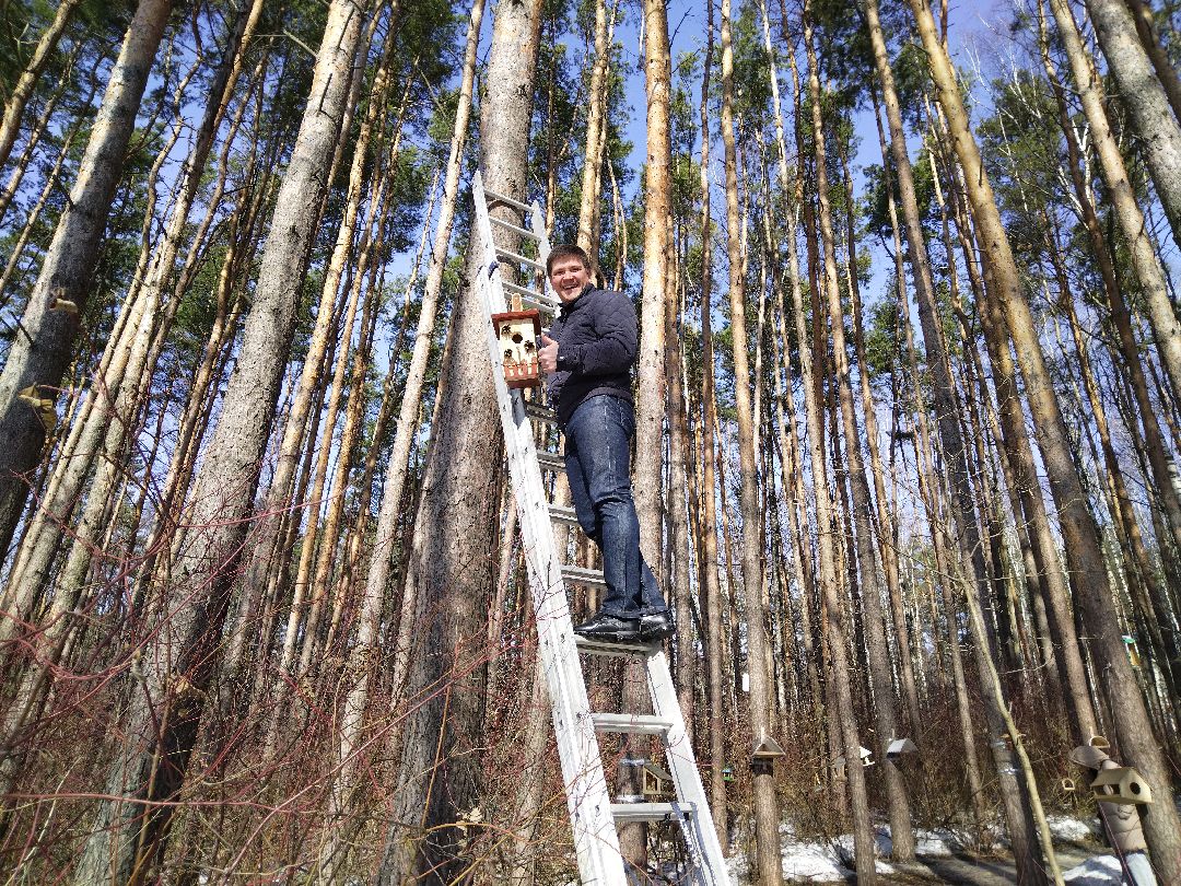 Скворечник для птиц, Минэкологии, Мытищи, Сбербанк