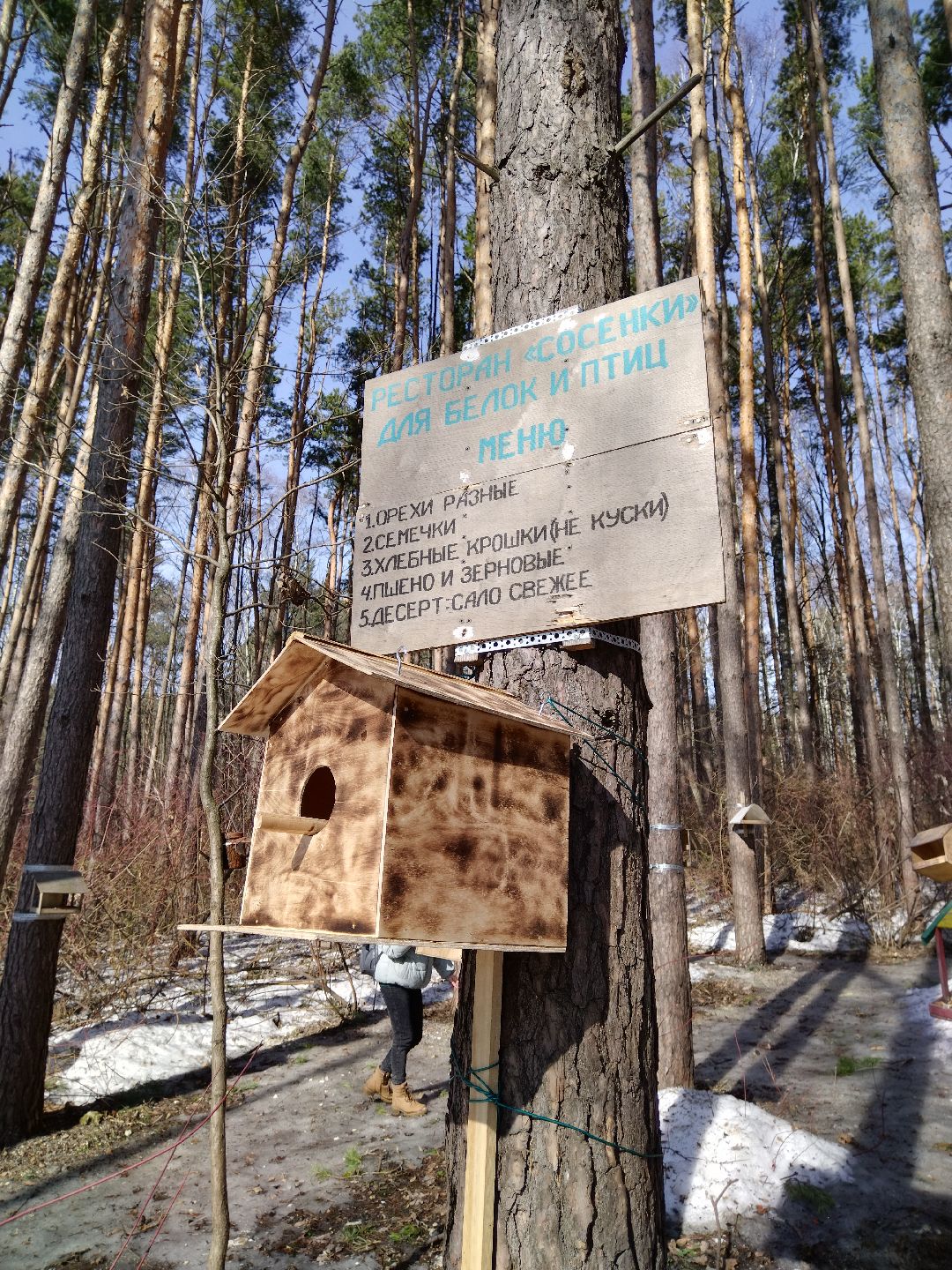 Скворечник для птиц, Минэкологии, Мытищи, Сбербанк