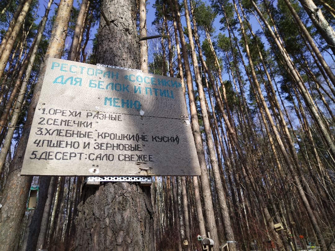 Скворечник для птиц, Минэкологии, Мытищи, Сбербанк