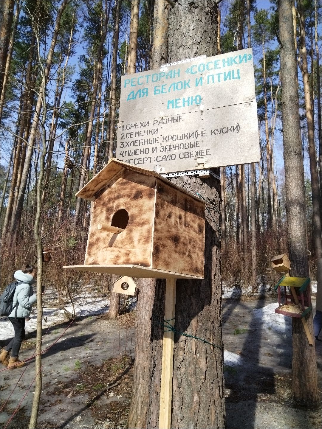 Скворечник для птиц, Минэкологии, Мытищи, Сбербанк