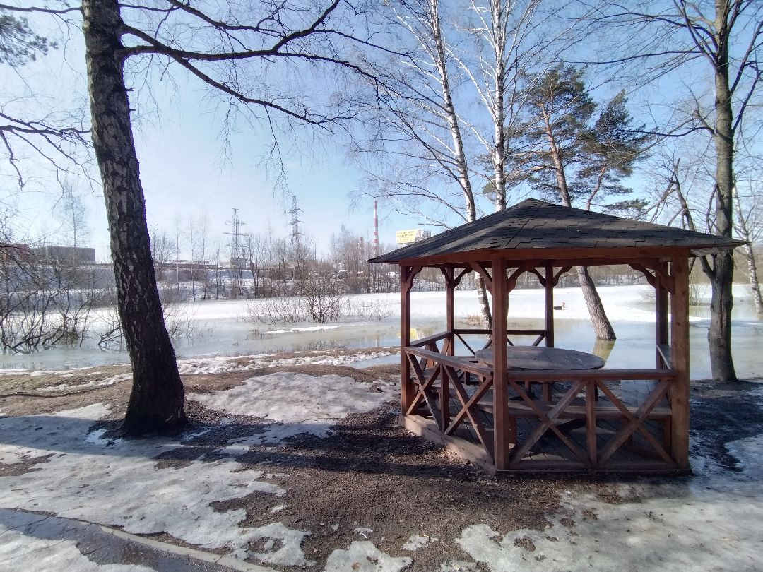 Скворечник для птиц, Минэкологии, Мытищи, Сбербанк