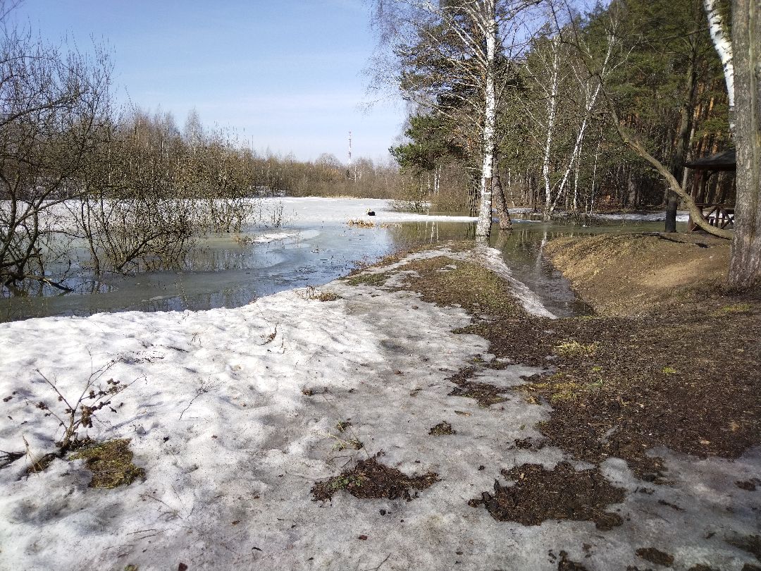 Скворечник для птиц, Минэкологии, Мытищи, Сбербанк