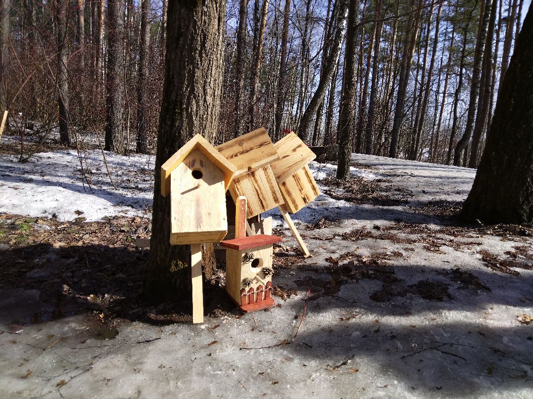 Скворечник для птиц, Минэкологии, Мытищи, Сбербанк