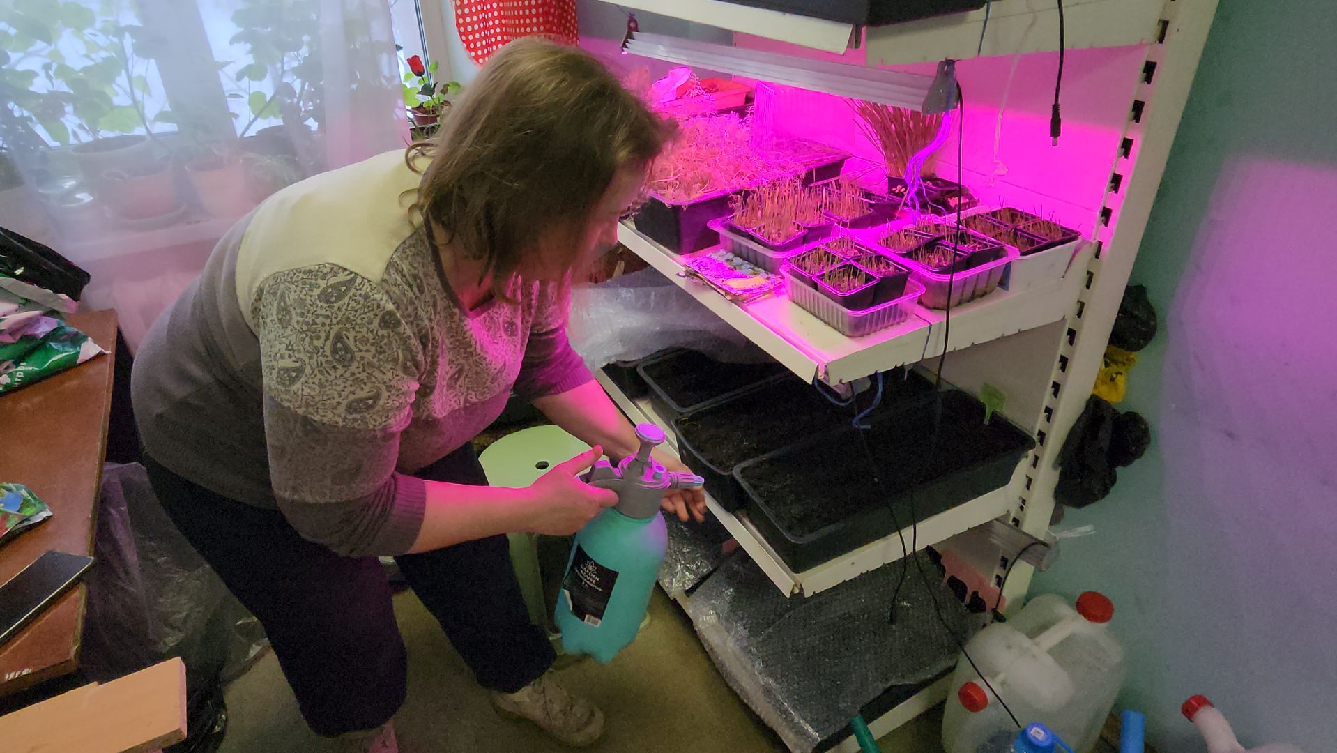 Город-сад, Союз садоводов России, волонтеры, озеленение, цветы, рассада, Ольга Пушкарева,