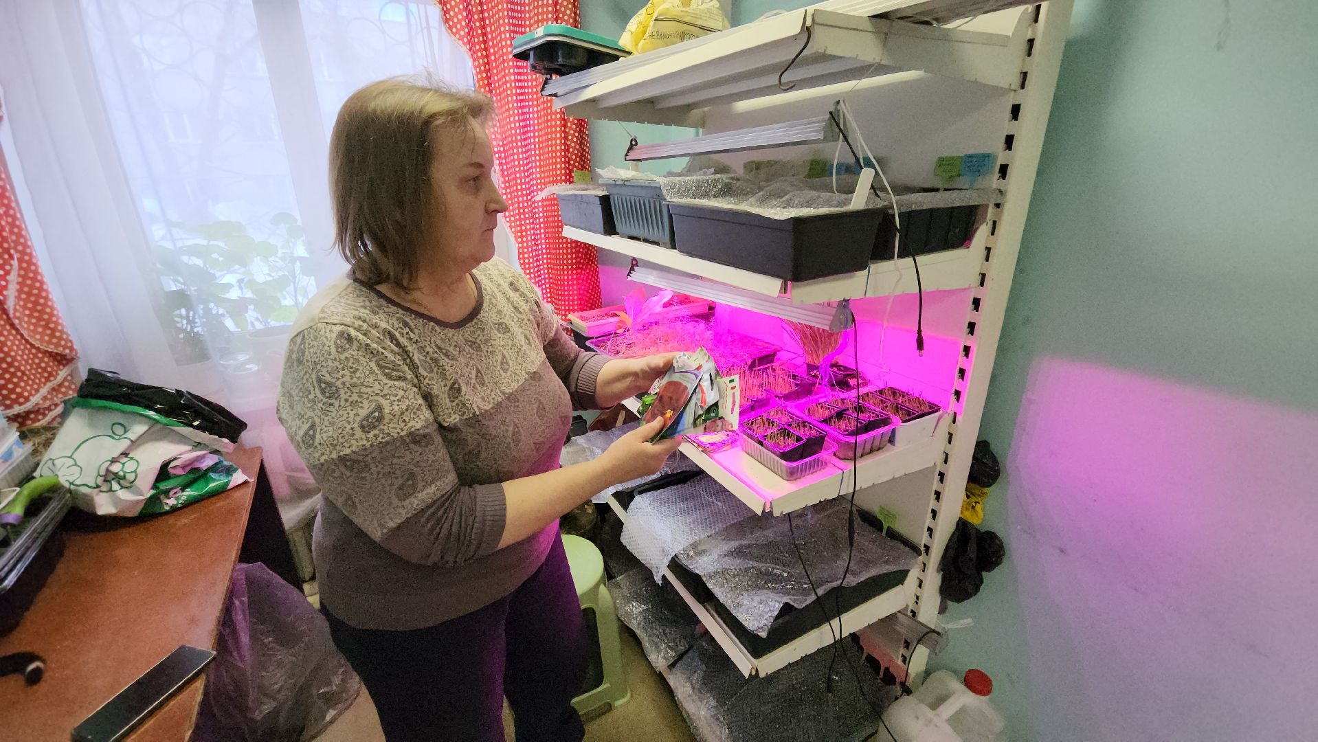 Город-сад, Союз садоводов России, волонтеры, озеленение, цветы, рассада, Ольга Пушкарева,