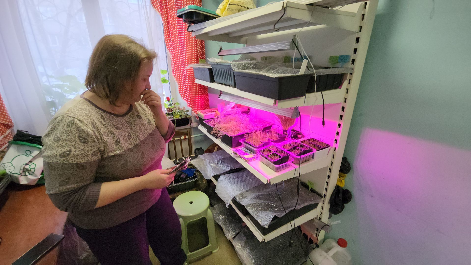 Город-сад, Союз садоводов России, волонтеры, озеленение, цветы, рассада, Ольга Пушкарева,