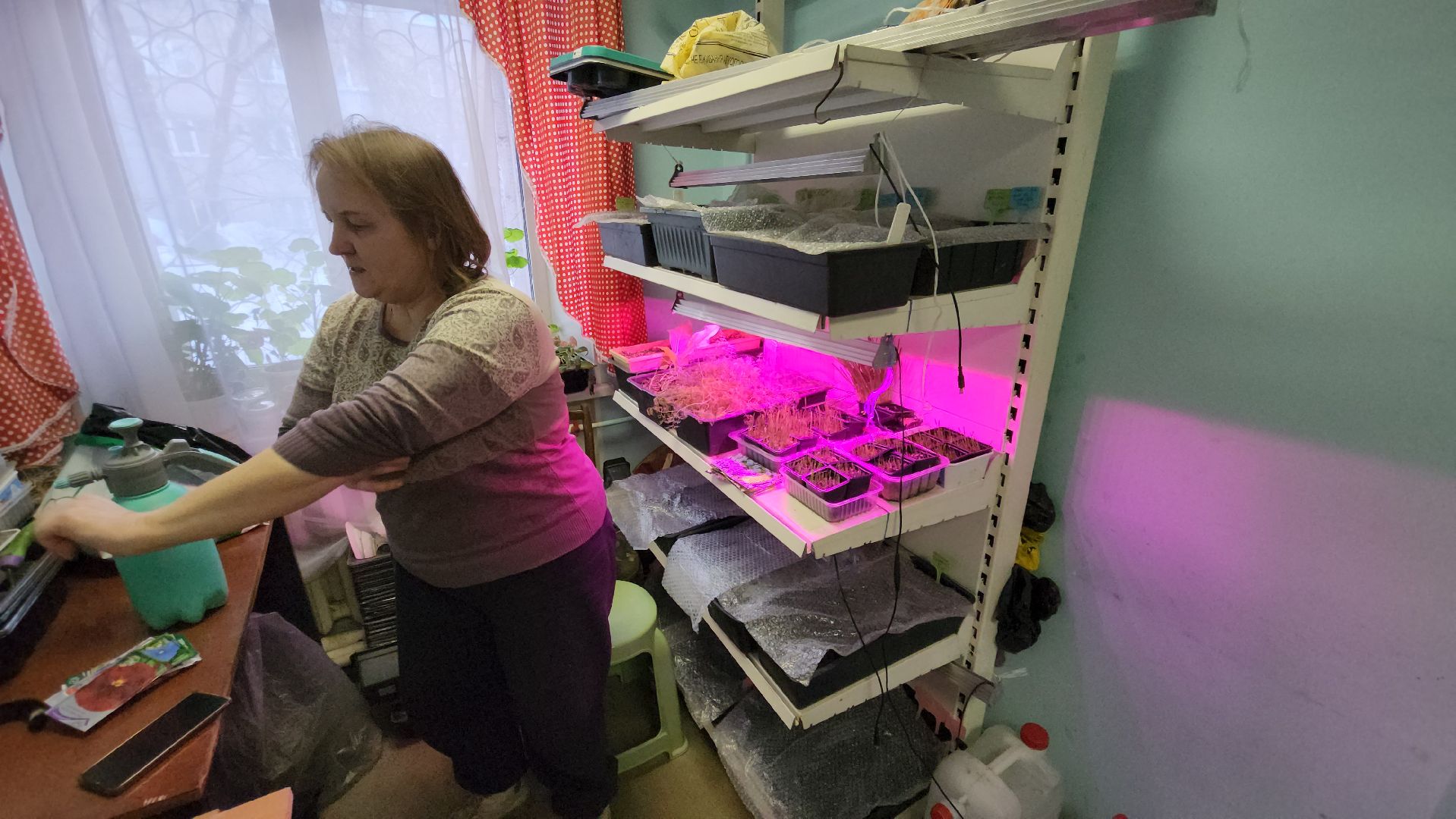 Город-сад, Союз садоводов России, волонтеры, озеленение, цветы, рассада, Ольга Пушкарева,