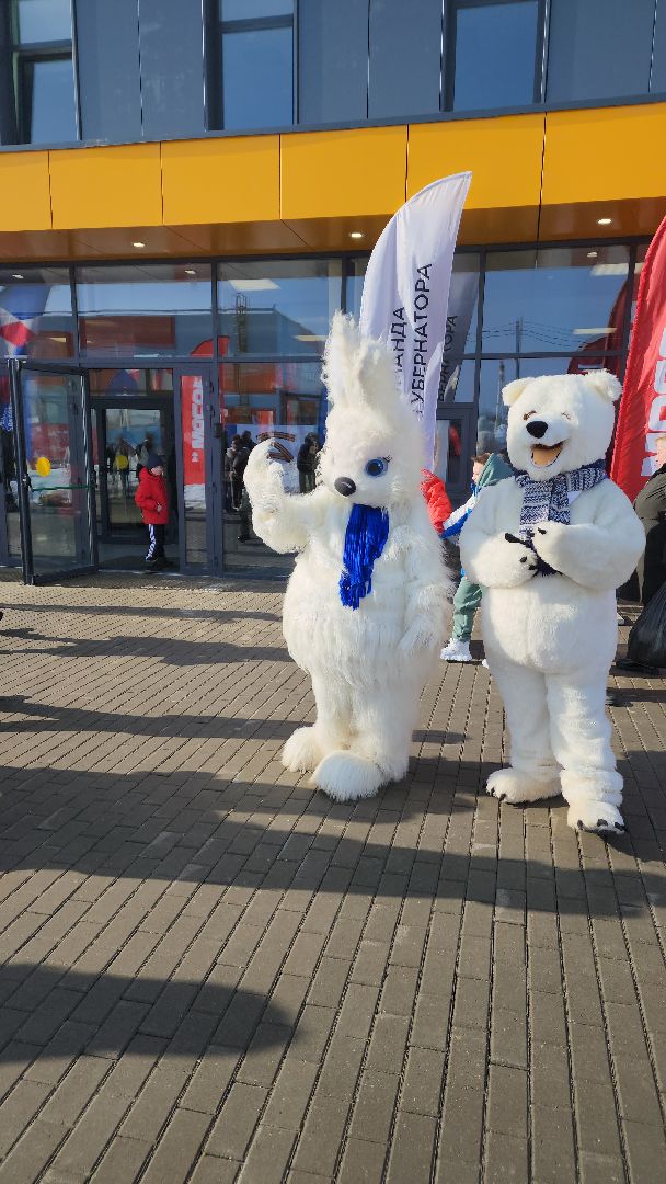 волоколамск, спорт, спорт в подмосковье, спорт подмосковья, фок, мероприятие,