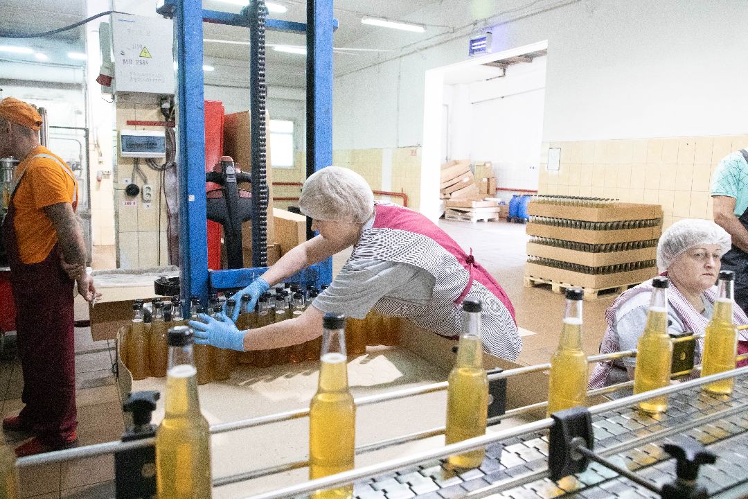 лыткарино, Комбуча