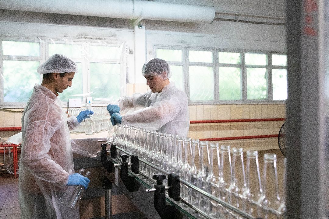 лыткарино, Комбуча