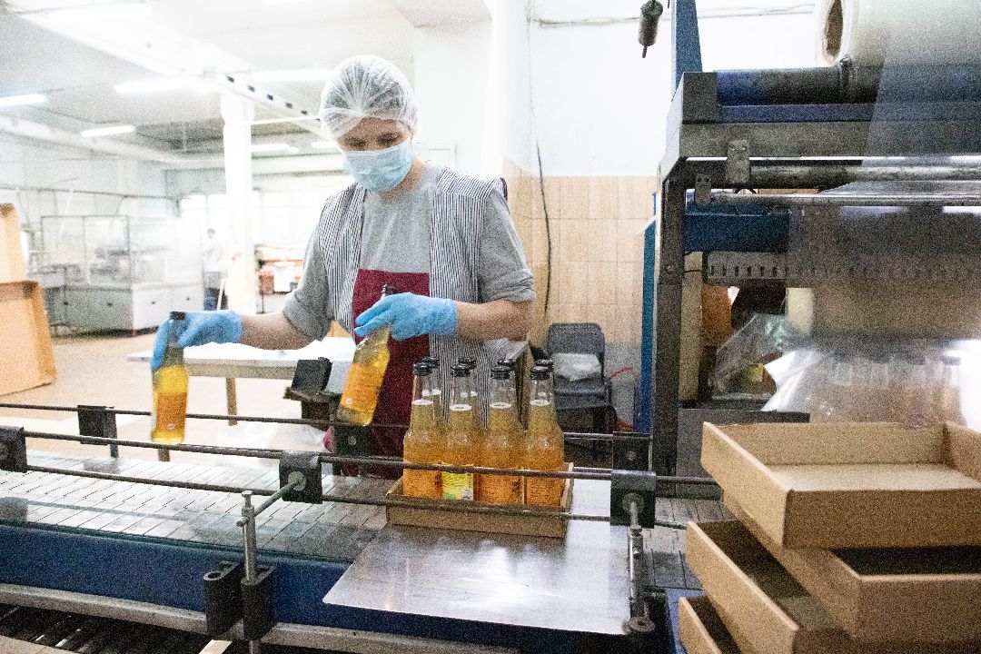 лыткарино, Комбуча