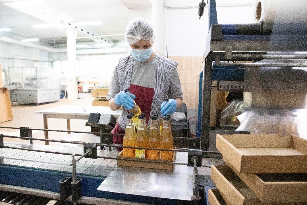 лыткарино, Комбуча