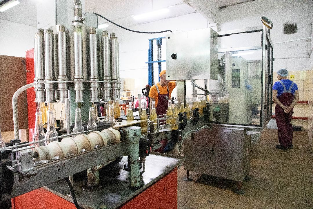 лыткарино, Комбуча