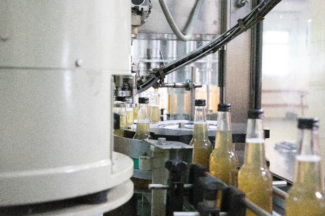 лыткарино, Комбуча