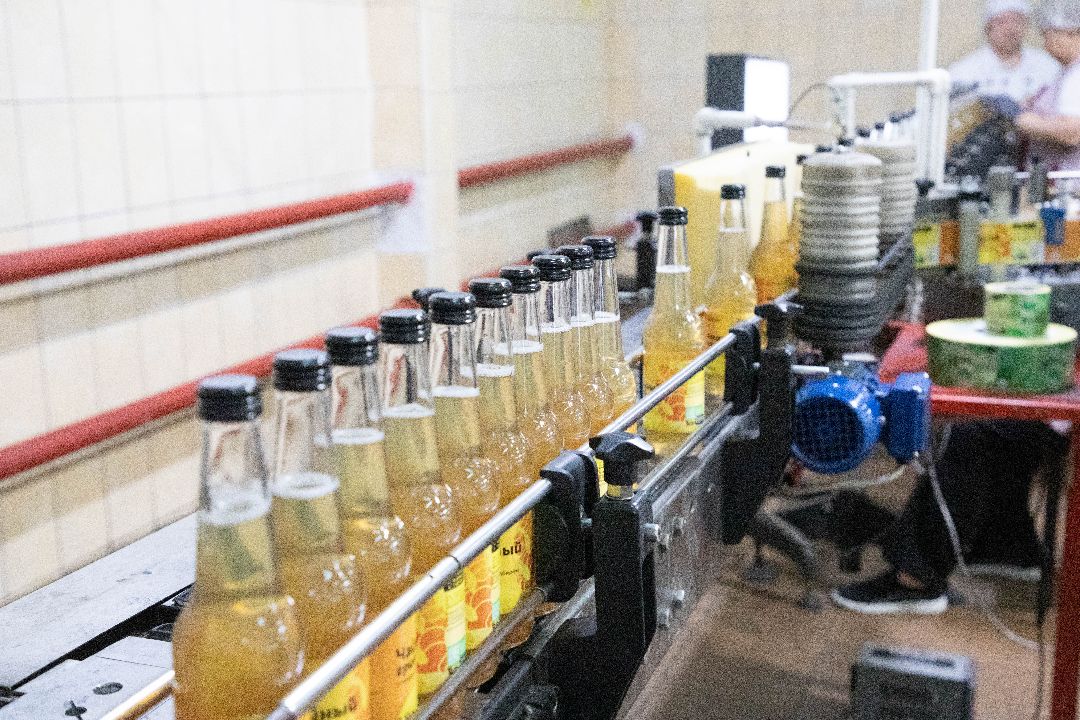 лыткарино, Комбуча