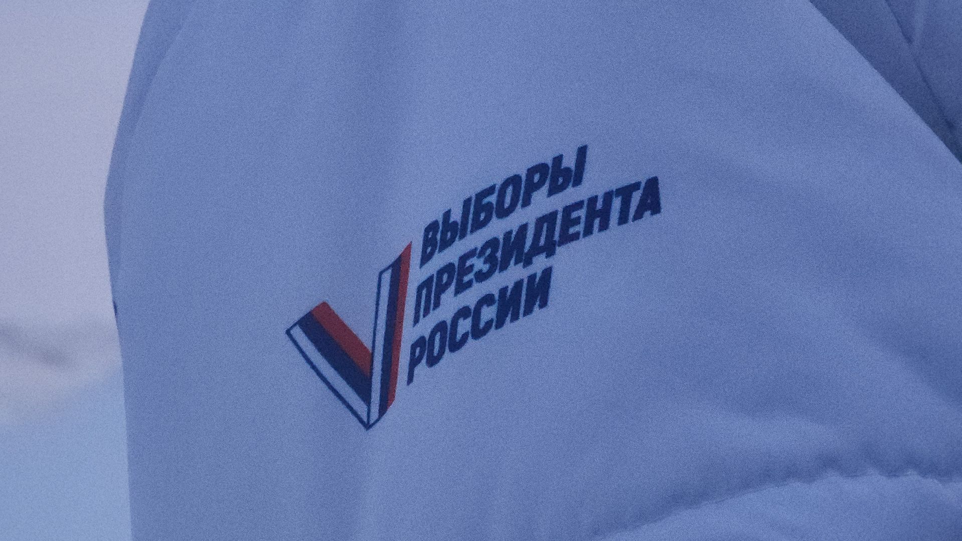 павловский посад, городской округ павловский посад, информаторы, выборы, люди, жители,