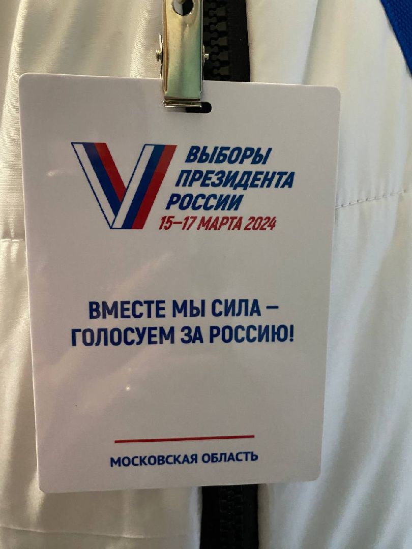 чехов, выборы, информаторы уик, жители, голосование,