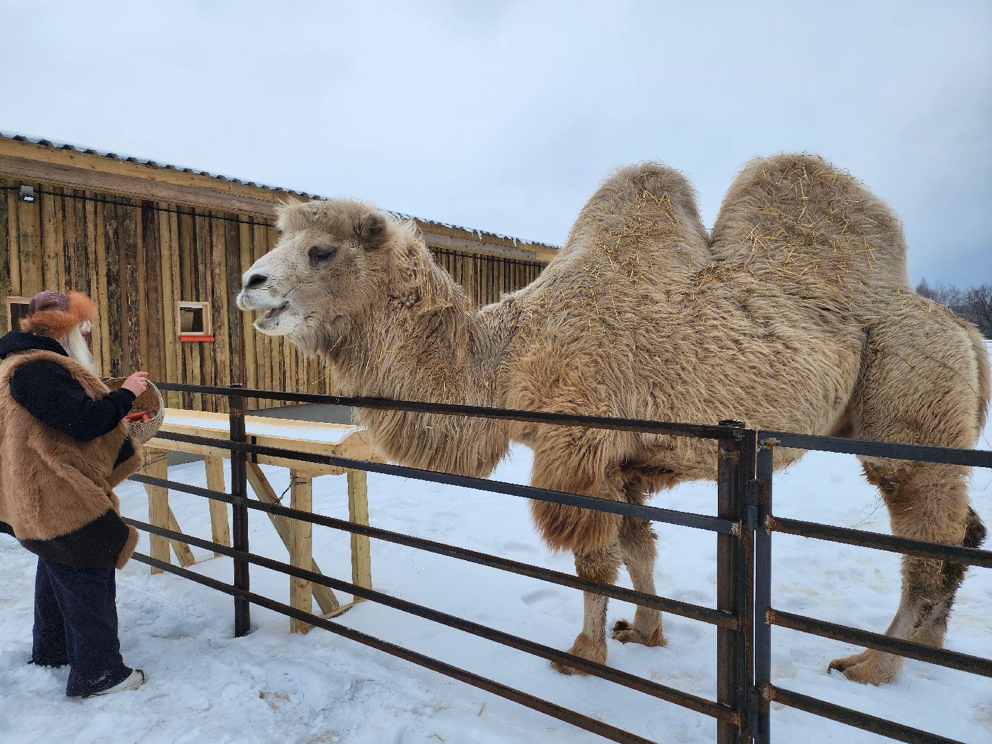 серпухов, подмосковье, сельское хозяйство, агротуризм, хутор спасский,