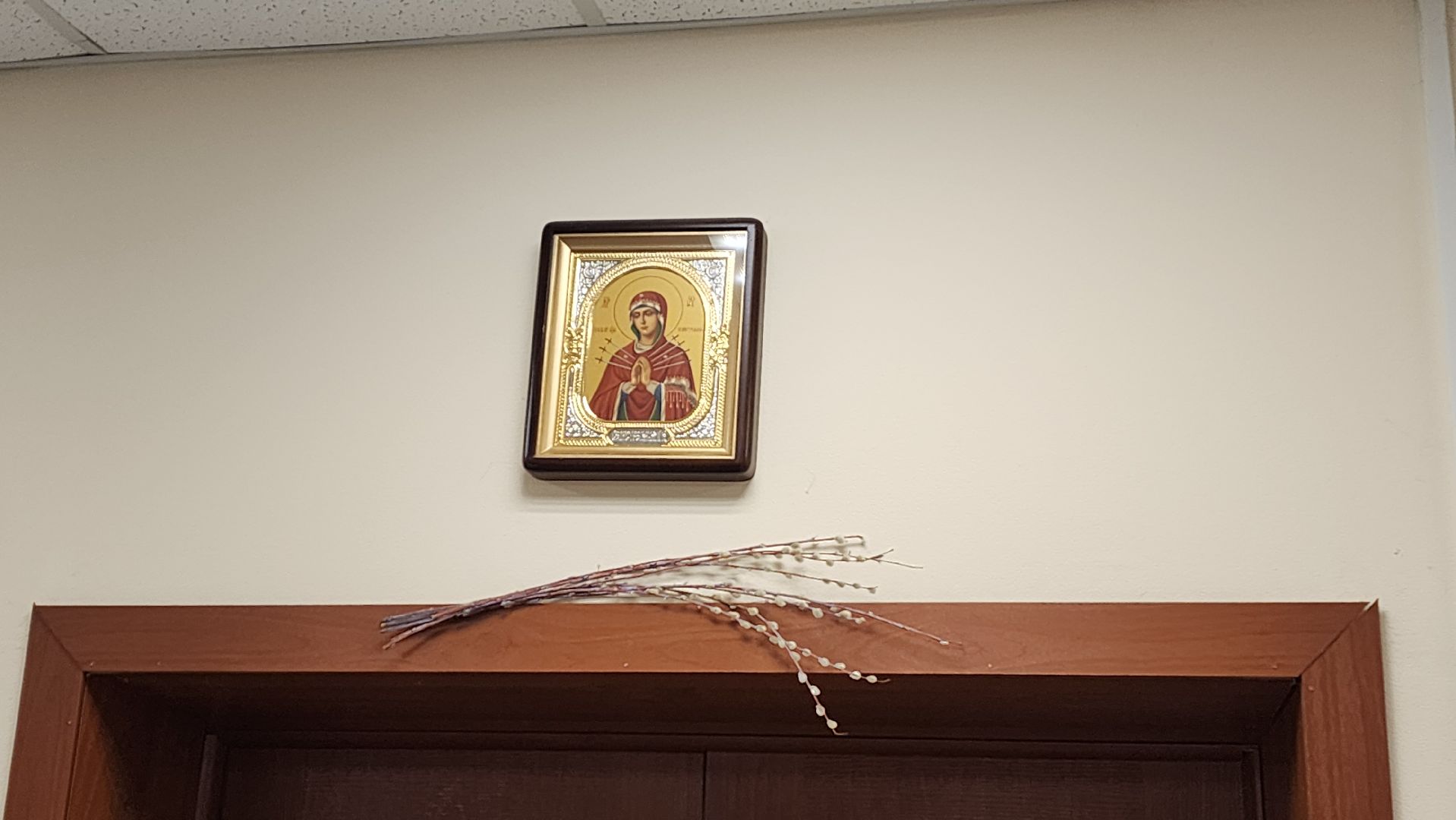 Подмосковье, Городской округ Пушкинский, Ашукино, выездная администрация,