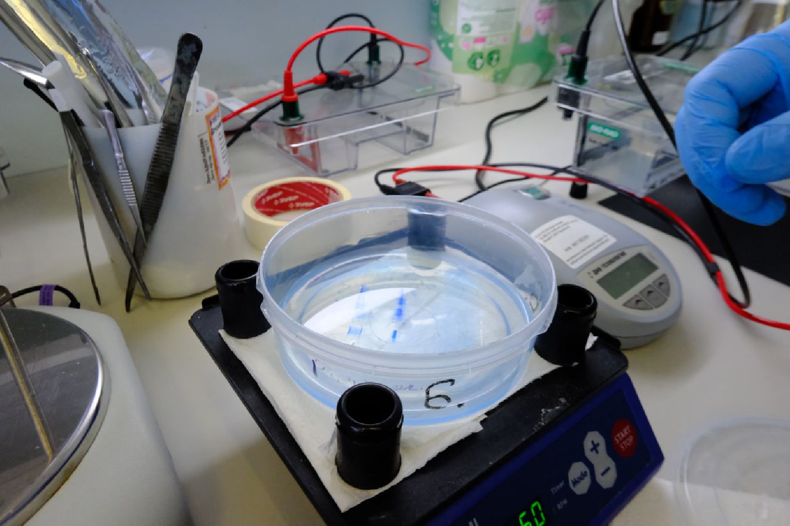 Пущино, наука,