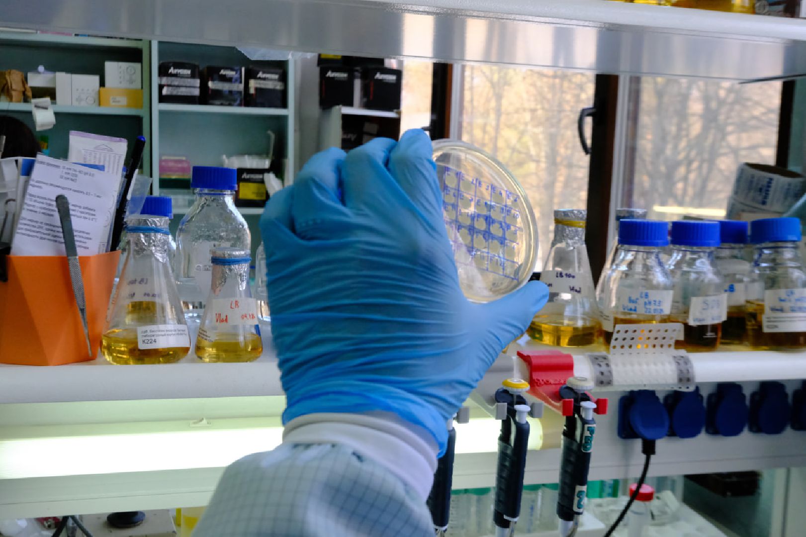 Пущино, наука,