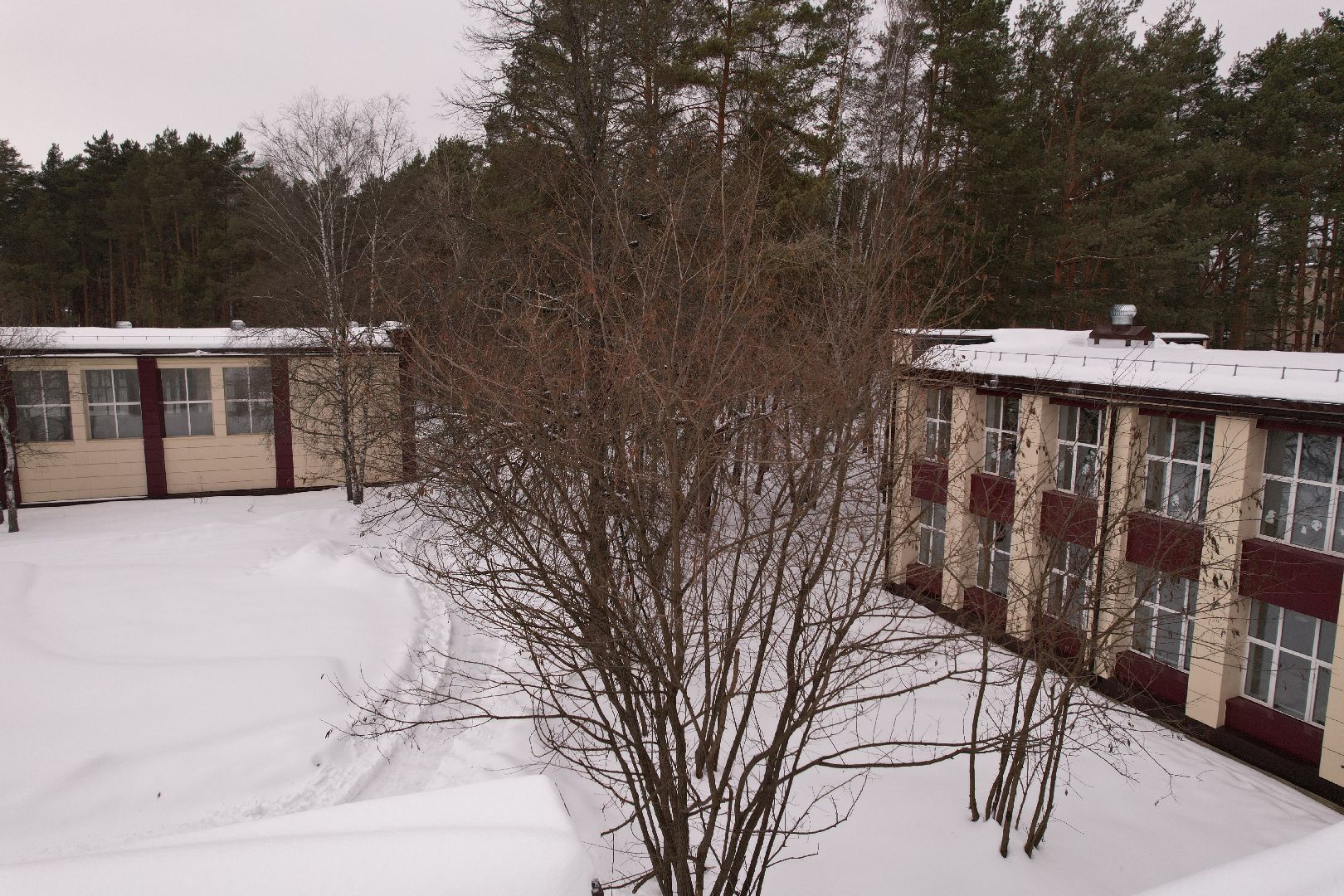 видео с коптера, лицей, образование,