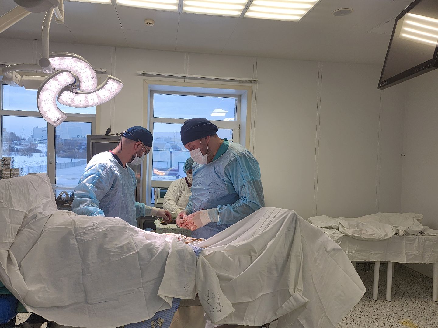 высокотехнологичная медицинская помощь,