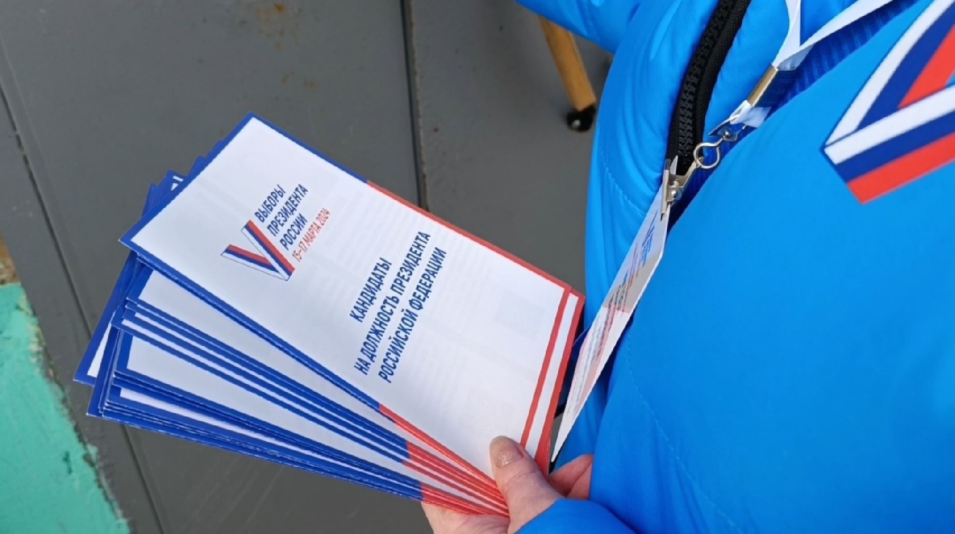 лобня, выборы, голосование,