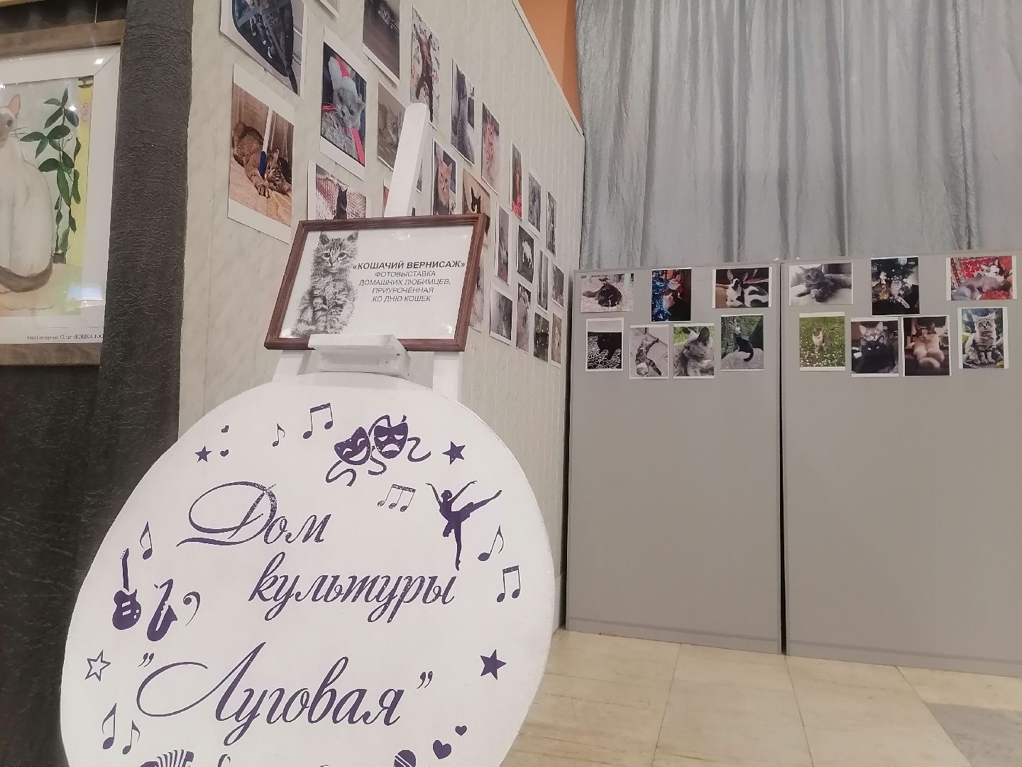 кошки, Фотографии, Картины, Частная коллекция,