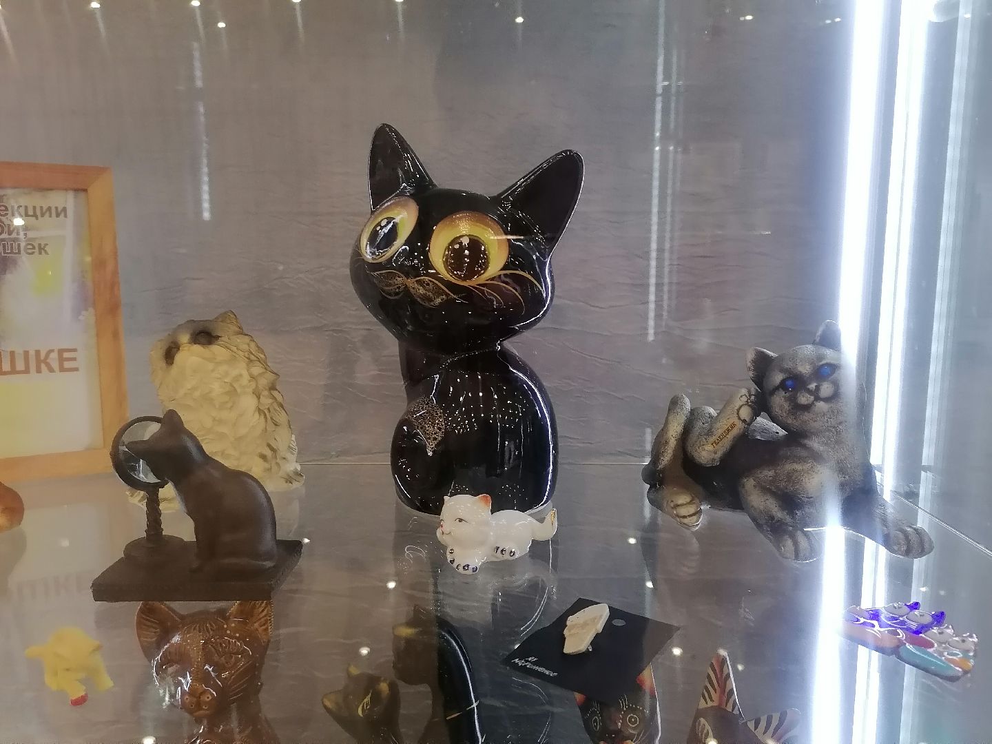 кошки, Фотографии, Картины, Частная коллекция,