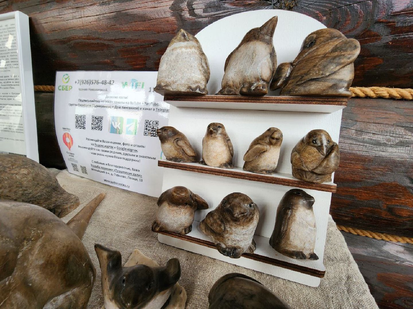 можайск, можайский округ, подмосковье, дом пингвинов, пингвины, выставка, пуршевские дали, усадьба керамики, туризм,