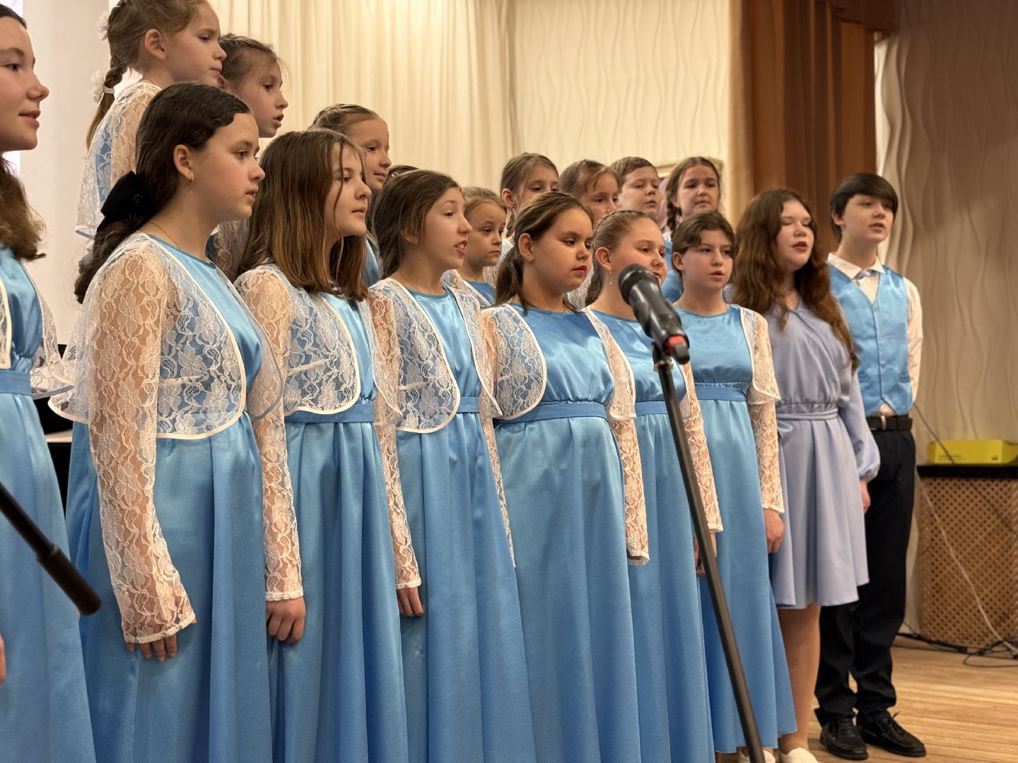 шаховская, школа искусств, концерт, библиотека,