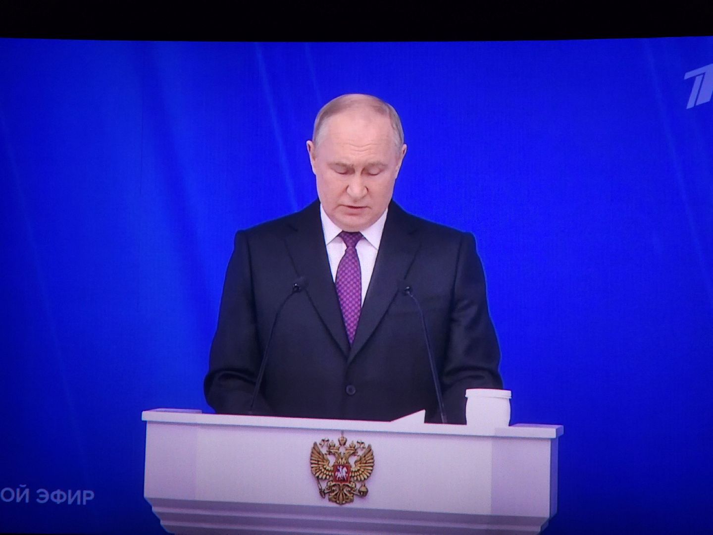 ногинск, президент, власть, кинотеатр,