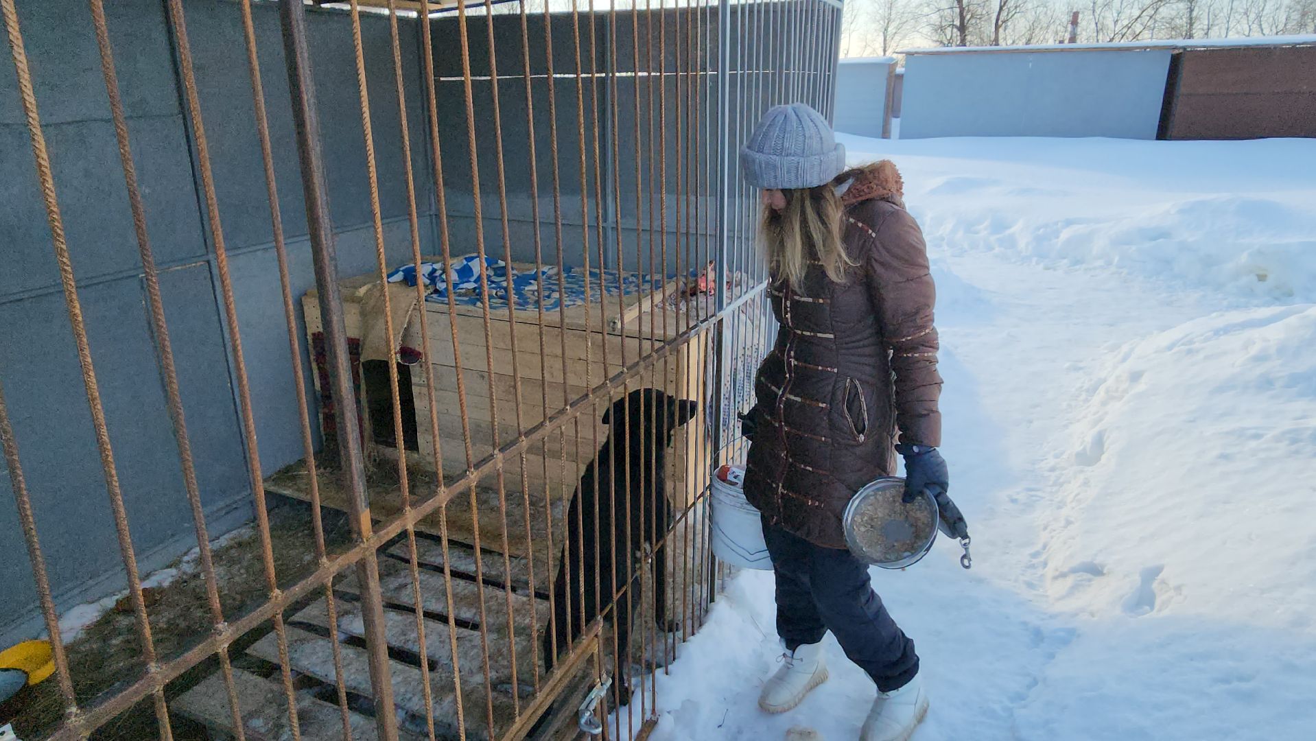 серпухов, собачий приют, зоозащита плюс, волонтеры, собаки, московское шоссе,