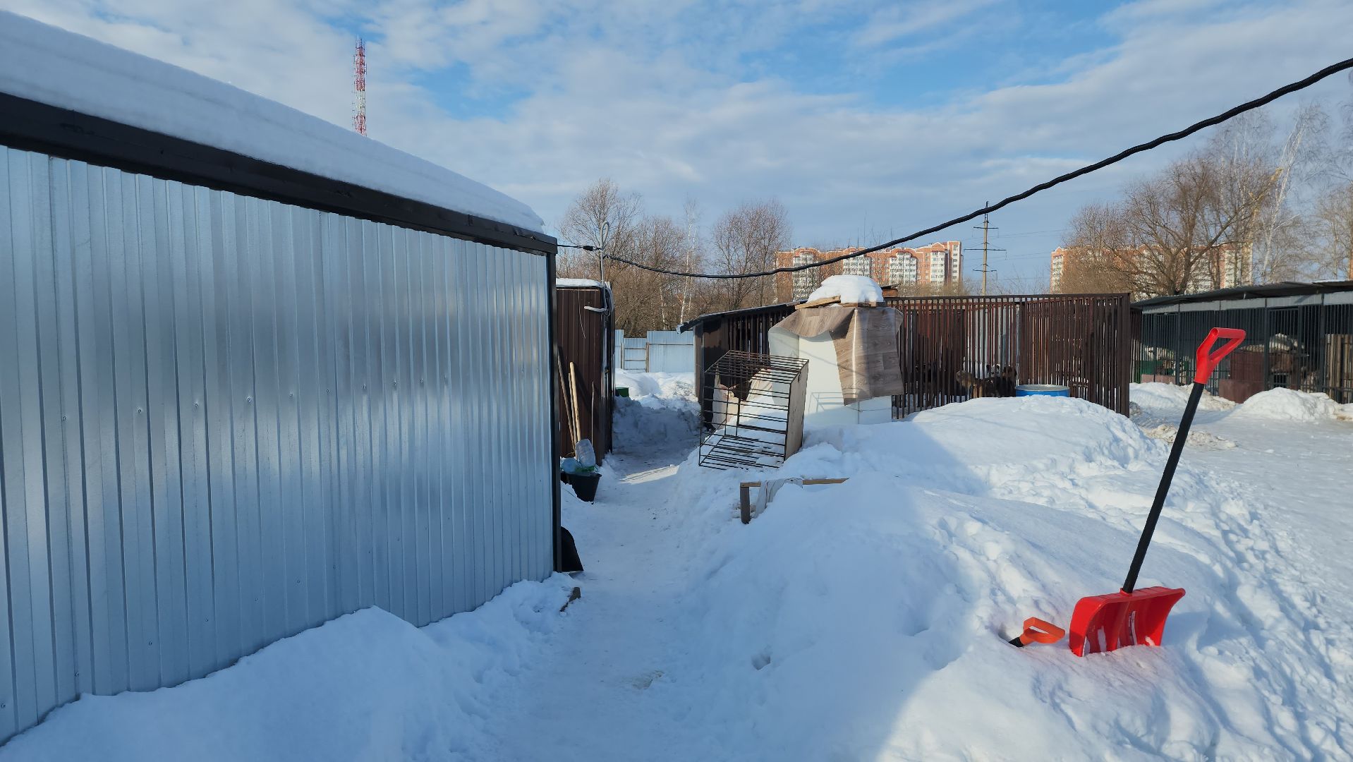 серпухов, собачий приют, зоозащита плюс, волонтеры, собаки, московское шоссе,