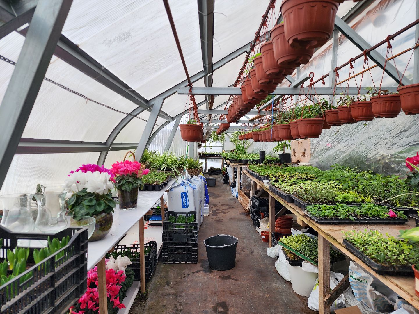 Звенигород, Фермерство, Сельское хозяйство, мастер класс,