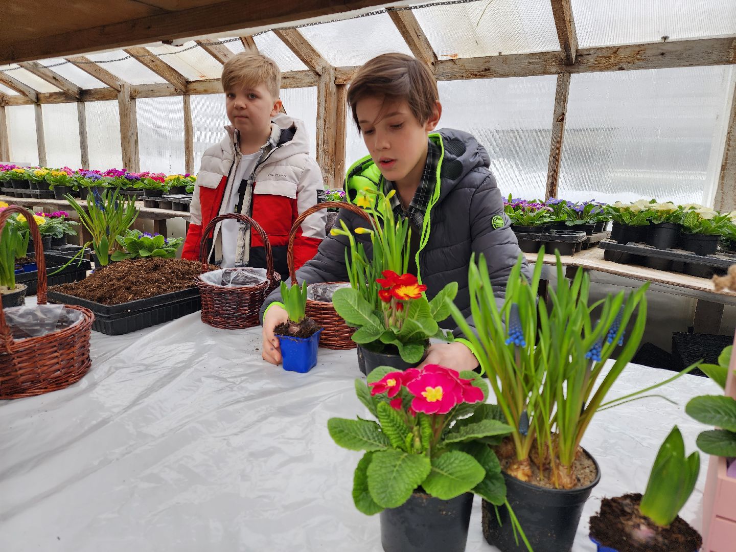 Звенигород, Фермерство, Сельское хозяйство, мастер класс,