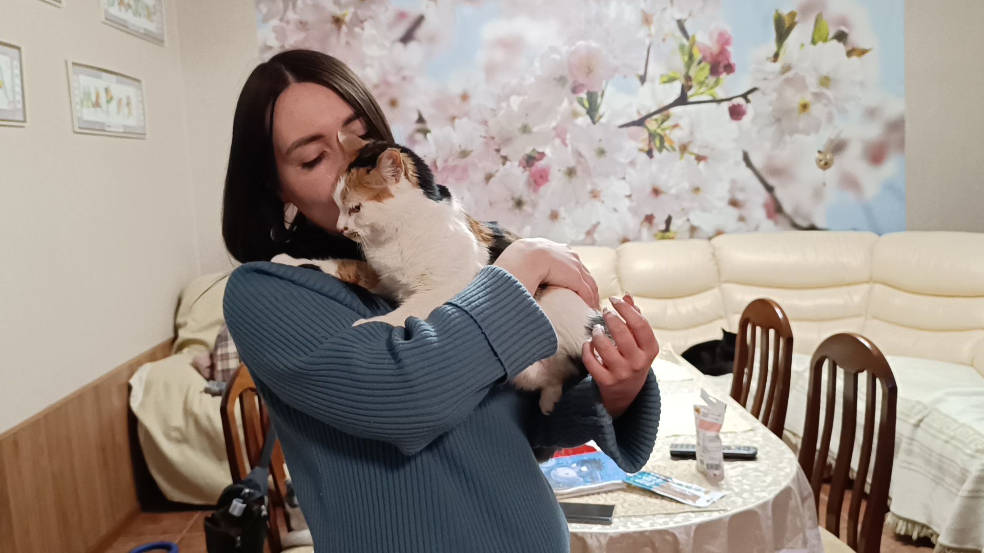 день кошек, кошки, собака, лобня,