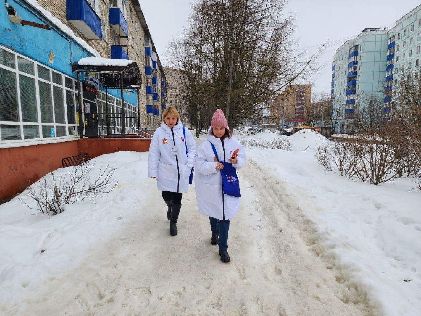 солнечногорск, обход квартир, выборы, волонтер, жители,