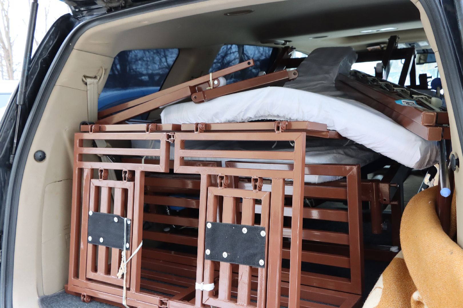 лотошино, медицина, медицина подмосковья,