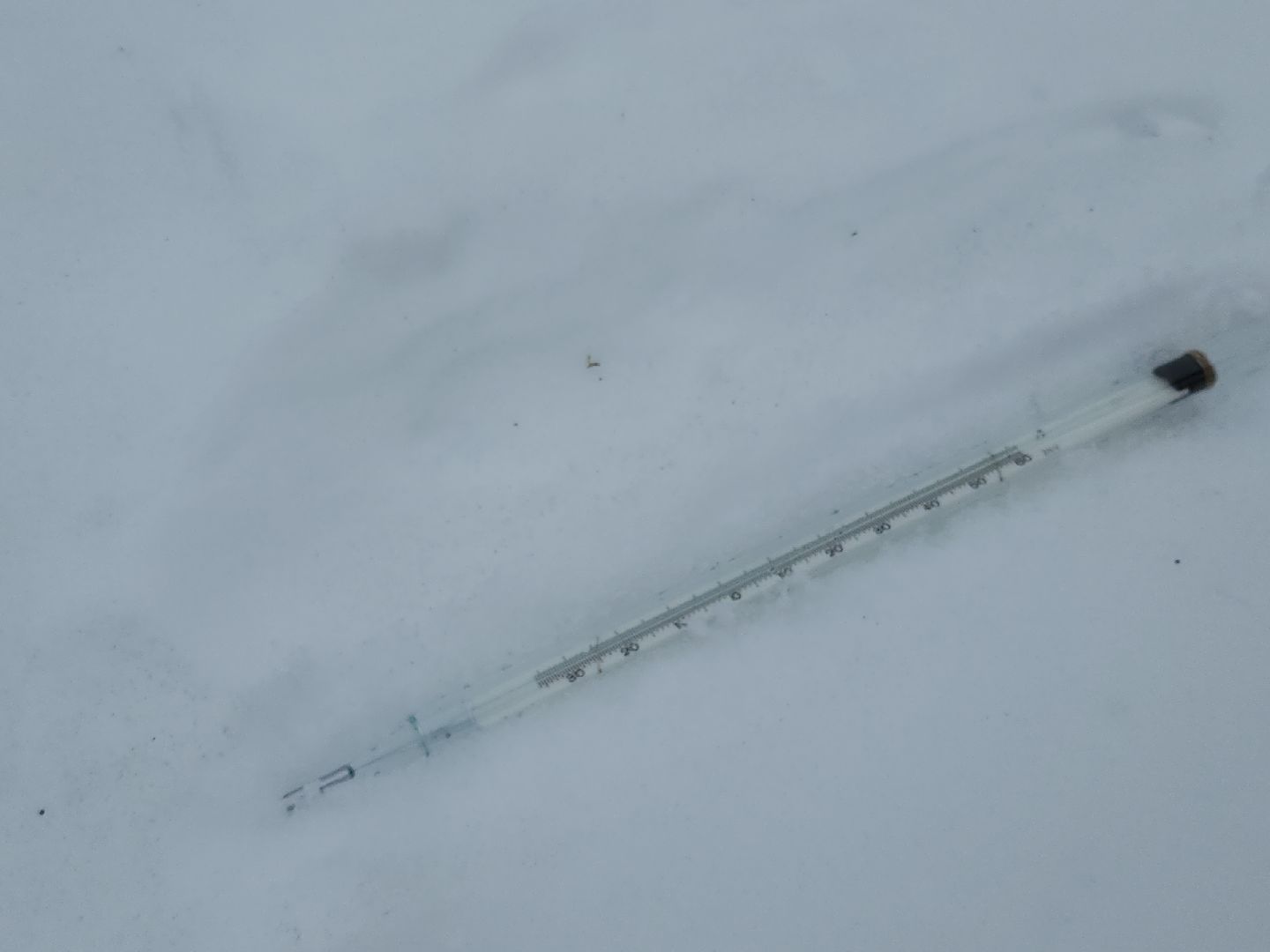 коломна, погода, зима 2024,